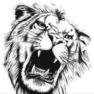 Meet your Posher, Henry